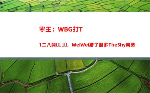 寧王：WBG打T1二八開，WeiWei蹭了很多TheShy局勢